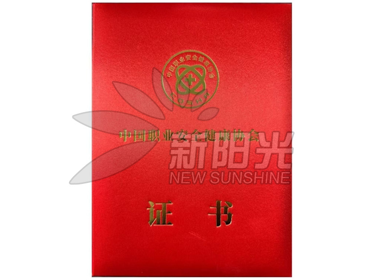 中國(guó)職業(yè)安全健康協(xié)會(huì)科學(xué)技術(shù)獎(jiǎng)